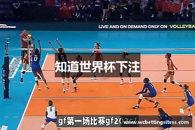 知道世界杯下注